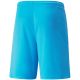 4. Puma teamLIGA M 704924 40 Shorts