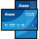 IIYAMA Monitor 108 cm (42,5") T4329AS-B1AG 16:9 M-Touch 2x HDMI + USB-C
