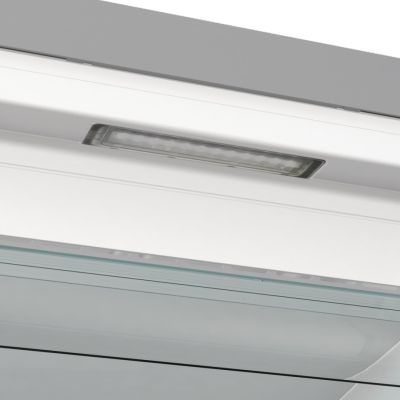 2. GORENJE FN619EAXL6 Gefrierschrank