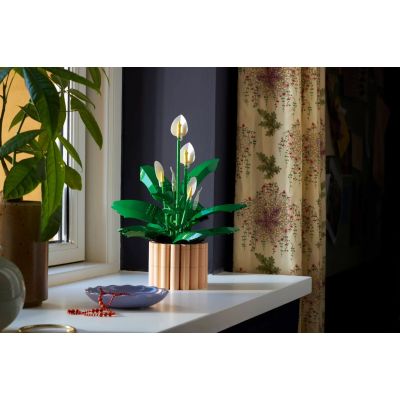 4. LEGO Botanical 11504 Spathiphyllum in einem Topf