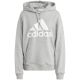9. adidas Essentials Big Logo Oversized French Terry Hoodie W IC9865