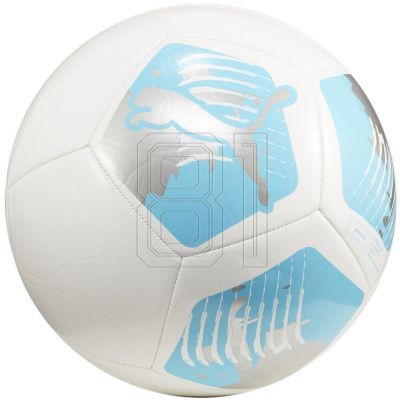 Puma Big Cat football 84214 04