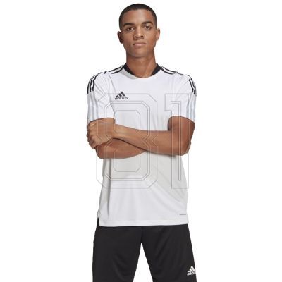7. adidas Tiro 21 Trainingstrikot M GM7590