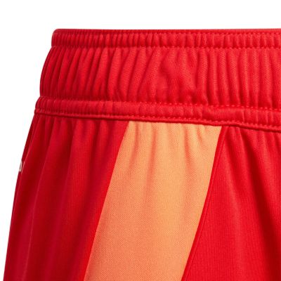 9. adidas Tiro 24 Jr IT2422 Shorts