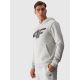 3. Herren Sweatshirt mit Kapuze, offen, 4F 4FWMM00TSWSM1464-27M