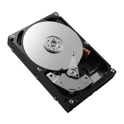 2. DELL 161-BBRX 8 TB 7200 U/min 3,5" SAS-Festplatte