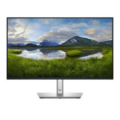 9. DELL LED-Monitor 24" P2425HE