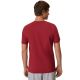 3. Herren-T-Shirt 4F M3558 Dunkelrot 4FWAW26TTSHM3558 61S