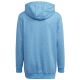 6. Adidas Badge of Sport Hoodie Jr HN8470 Sweatshirt