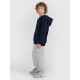 3. Jungen-Sweatshirt mit Kapuze, offen, 4F 4FJRMM00TSWSM2482-31S