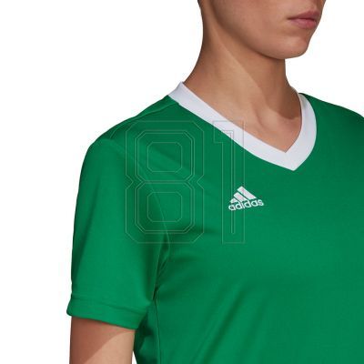 13. adidas Entrada 22 Trikot W HI2124