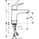3. Hansgrohe Focus Chrome