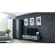 2. TV-Schrank VIGO NEW '140' 30/140/40 grau/grau Kombination