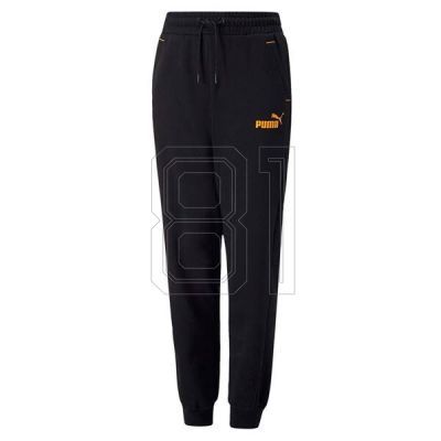 3. Puma Power Jr 670100 51 Hose