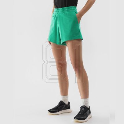 5. Shorts 4F W 4FWSS24TSHOF286 41S