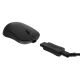 10. Endgame Gear XM2we Gaming-Maus, kabellos (RF) + USB Typ-C, optisch, 19000 DPI