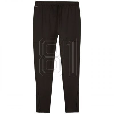 10. Puma Team Goal Slim Training Pants M 659037 03