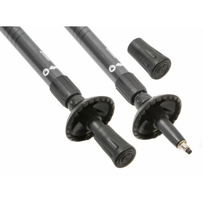 2. Klassische silberne Trekkingstöcke