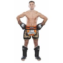 TOP TEN "KICKBOXING" NEON Muay Thai Shorts