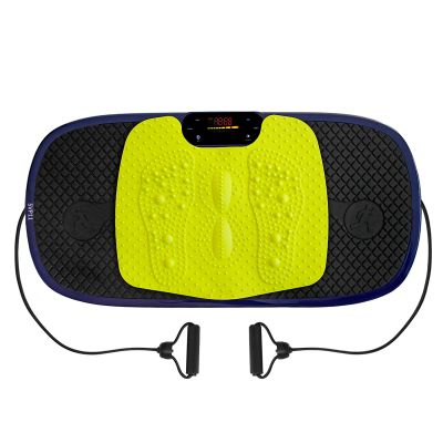 12. SVP11 Vibrationsplattform mit 3D-Overlay und 2 HMS-Motoren