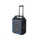 Blaupunkt MB10 tragbarer Lautsprecher (schwarz)