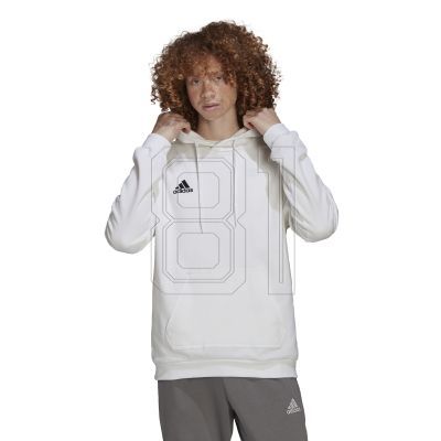 4. Adidas Entrada 22 M HG6302 Sweatshirt