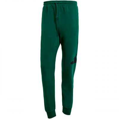 adidas Essentials Big Logo French Terry Hose M JE8971