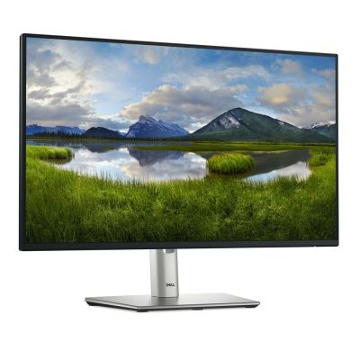 3. DELL LED-Monitor 24" P2425HE