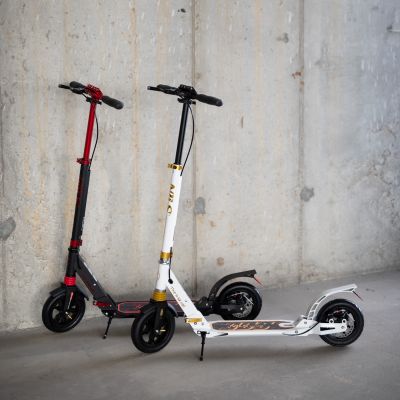 19. HM209T WEISS-GOLD ROLLER MIT SCHEIBENBREMSE NILS EXTREME