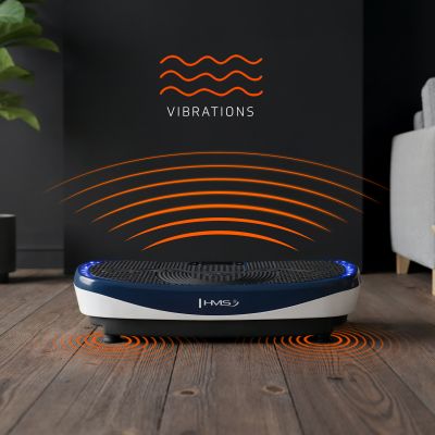 5. SVP13 Vibrationsplattform mit 3D-Overlay und 2 HMS-Motoren