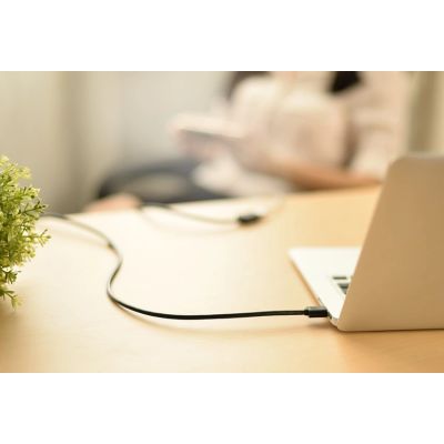 3. Ugreen Kabeladapter USB (weiblich) - USB (männlich) 2m schwarz (10316)