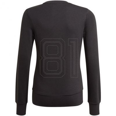 5. Adidas Essentials Big Logo Jr GP0040 Sweatshirt