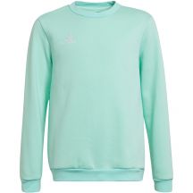 Adidas Entrada 22 Sweat Top Jr HC5042 Sweatshirt