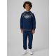 5. Jungen Loose-Fit-Sweatshirt mit Kapuze 4F 4FJRAW26TSWSM3193-31S