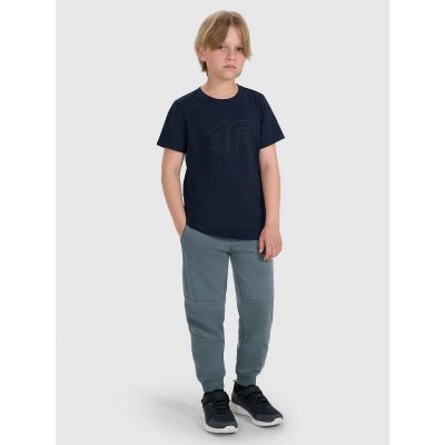 3. Normales bedrucktes Jungen-T-Shirt 4F 4FJRMM00TTSHM3255-31S
