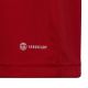 5. Adidas Entrada 22 Jsy Jr T-Shirt H57496