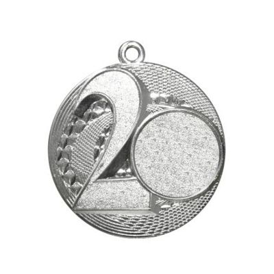 Silbermedaille für den zweiten Platz