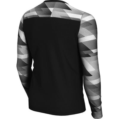 10. Nike Dry Park IV JSY LS GK Jr CJ6072-010 Trikot