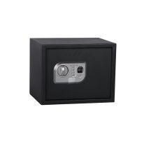 SAFE SP-25ELG 350X250X250