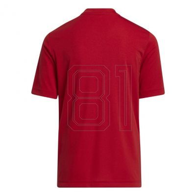 3. adidas Entrada 22 Graphic Jersey Jr H58983