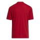 3. adidas Entrada 22 Graphic Jersey Jr H58983