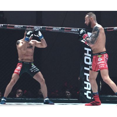 21. 10oz Boxhandschuhe - Klassisch Weiß - Origin Series