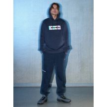 Herren-Jogginghose 4F 4FRSS26TTROM1861-31S