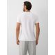 2. Slim-Fit Herren-T-Shirt mit Aufdruck 4F 4FRAW26TTSHM4666-10S