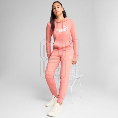5. Puma ESS No. 1 Logo Hoodie W 682391 18