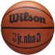Wilson NBA Jr DRV Fam Logo Ball WZ3013001XB Basketball