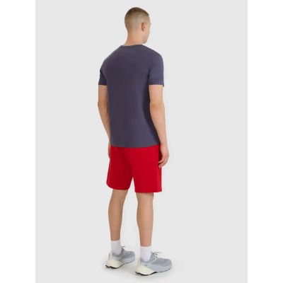 2. Shorts 4F M 4FWMM00TSHOM543-62S