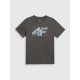 7. Herren-T-Shirt mit Aufdruck, regulär, Größe 4F 4FRSS26TTSHM4295-22S