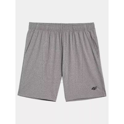 5. Shorts 4F M 4FAW23TFSHM299-27M