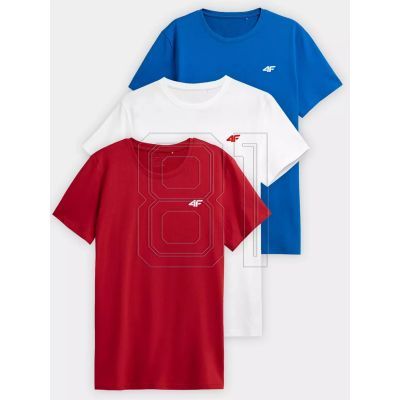 T-Shirt 4F M 4FWSS23TTSHM1231-91S